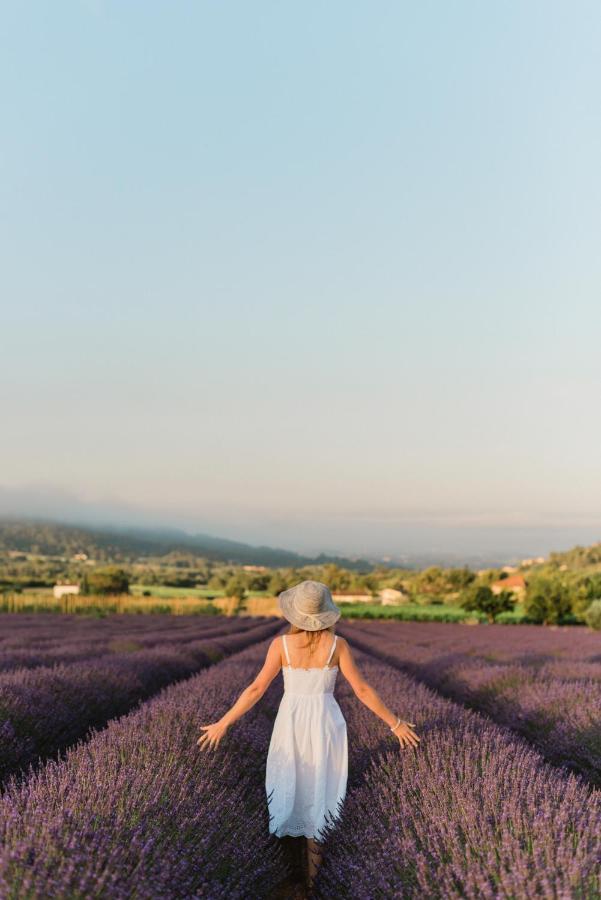 La Petite Ruche, 1 Bedroom Gite In The Luberon Apt Dış mekan fotoğraf
